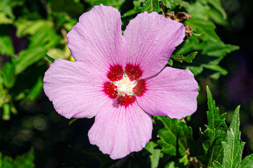 Фотография автора Faller Tamás