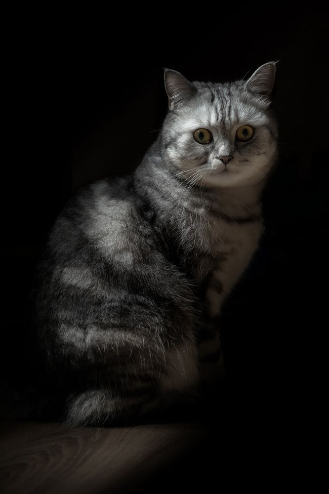 Photograph by Евгений Пятков