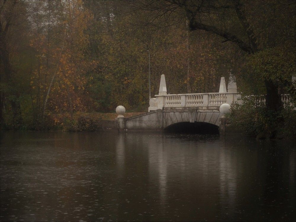 Фотография автора IRINA FILIPPOVA