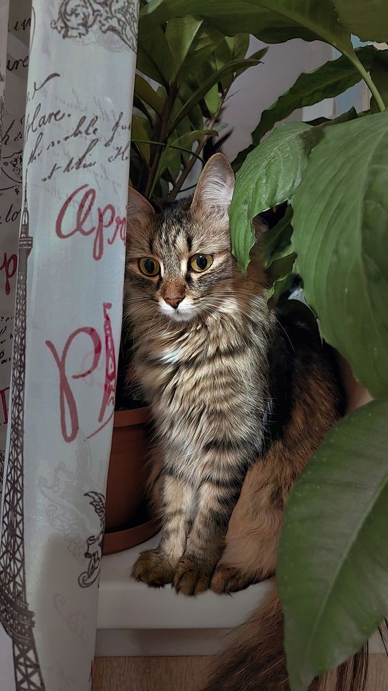 Photograph by Дмитрий Степанов