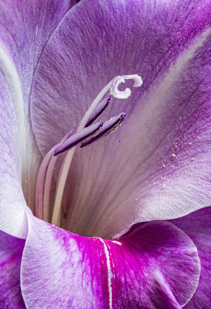 Photograph by Савчук Сергей