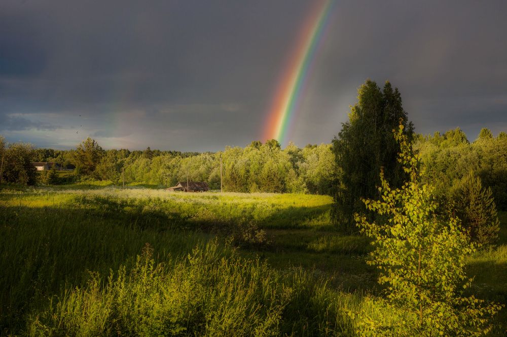 Photograph by Наталья Вторыгина