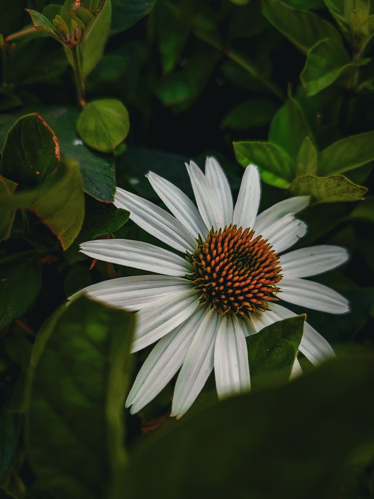 Фотография автора Юлия Гантимурова