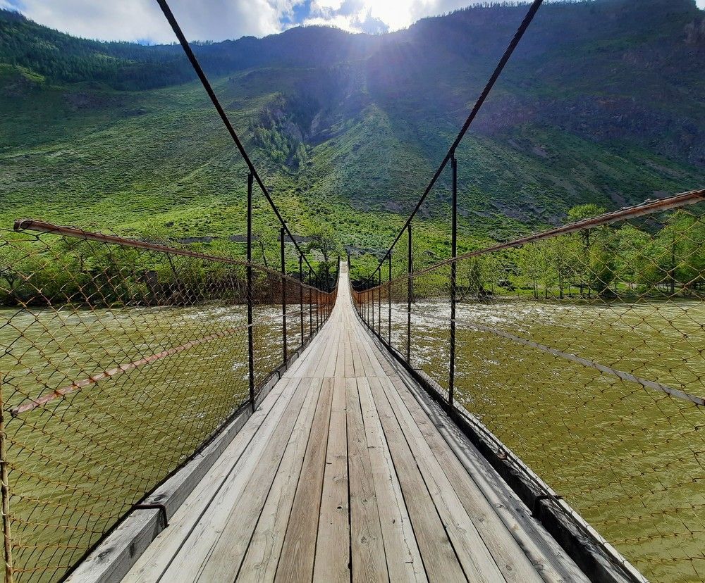 Фотография автора Елена Пикатова