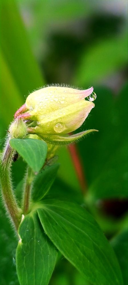 Photograph by Nаtaliia Zolotova