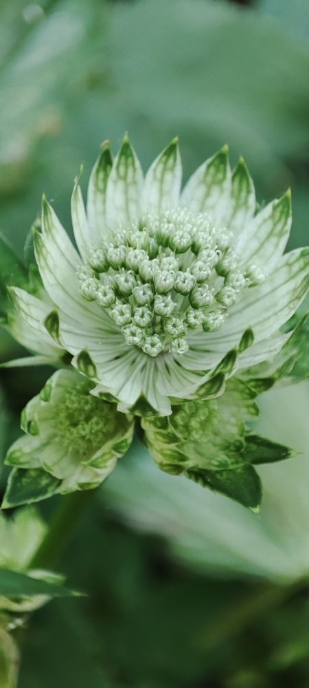 Photograph by Дмитрий Свинухов