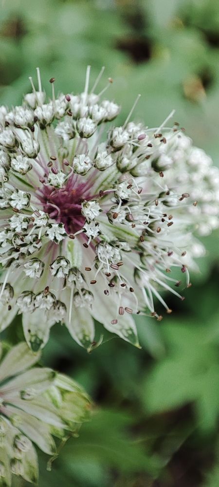 Photograph by Дмитрий Свинухов