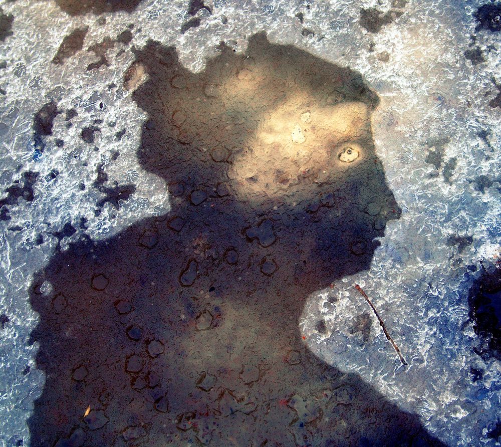 Photograph by Илья Веулоп