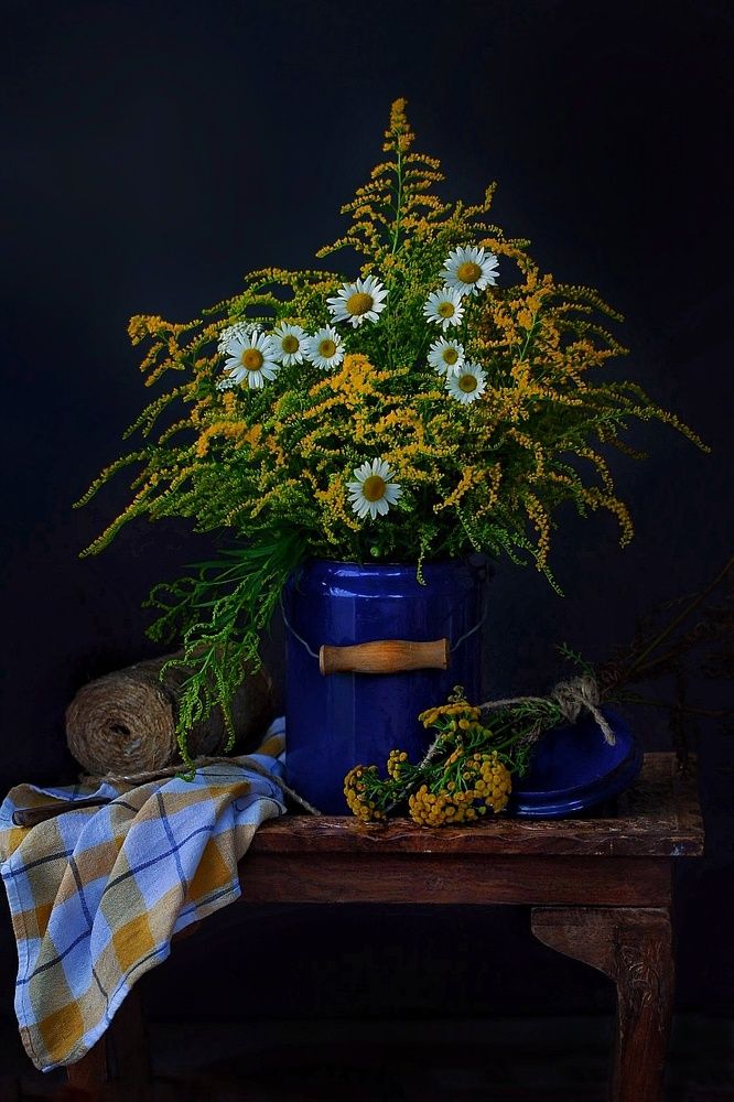 Фотография автора Екатерина Карасева