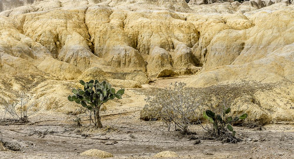 Фотография автора Rodolfo Pimentel