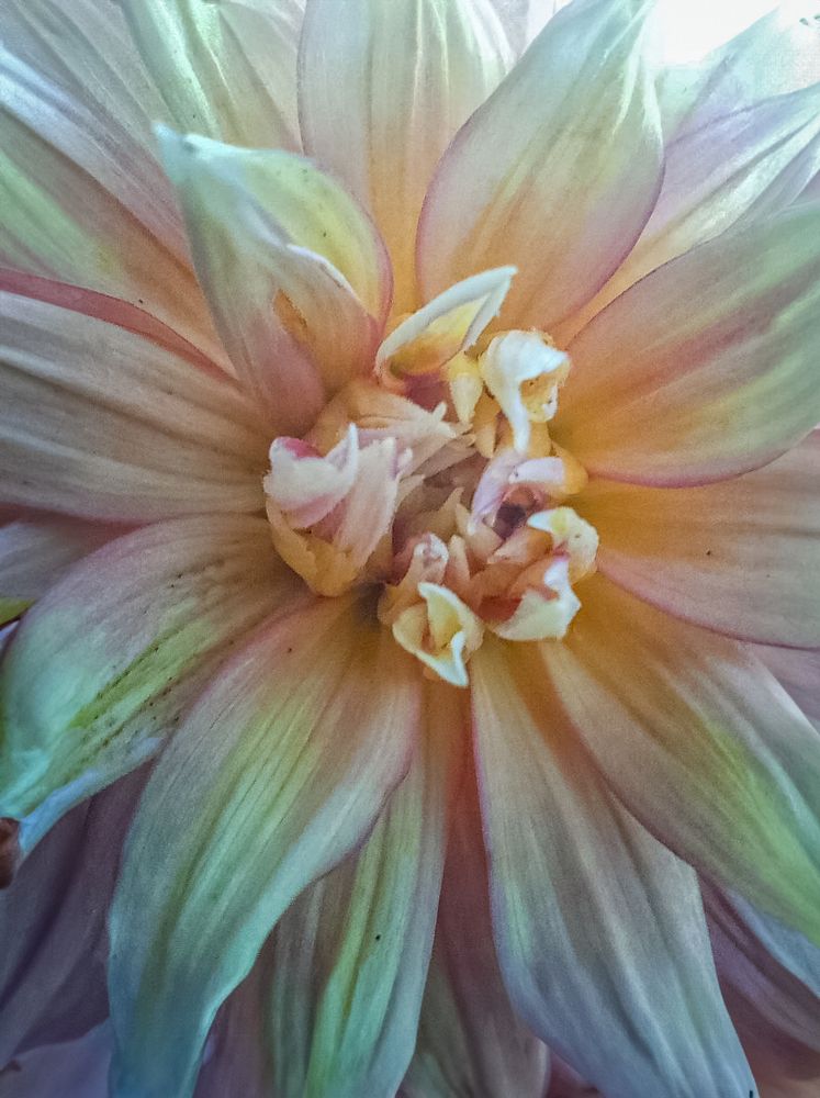 Photograph by Софья Сагитова