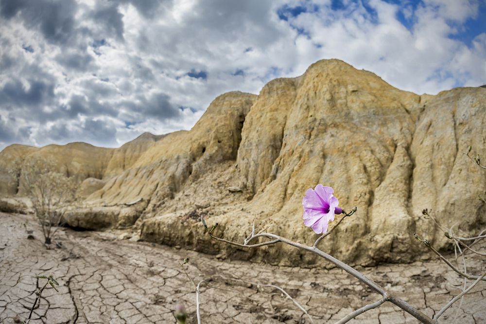 Фотография автора Rodolfo Pimentel