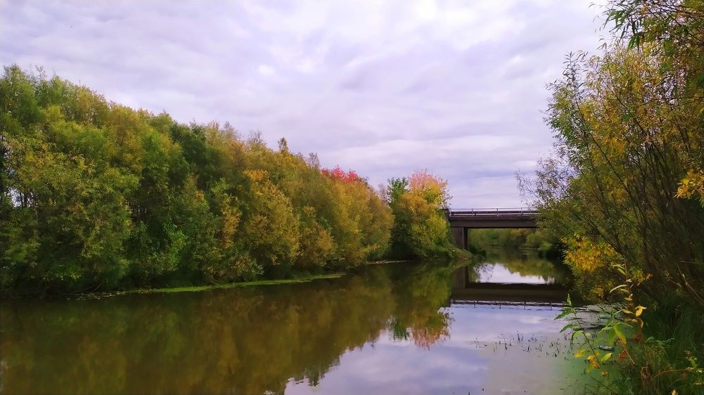 Photograph by Татьяна Лихачева