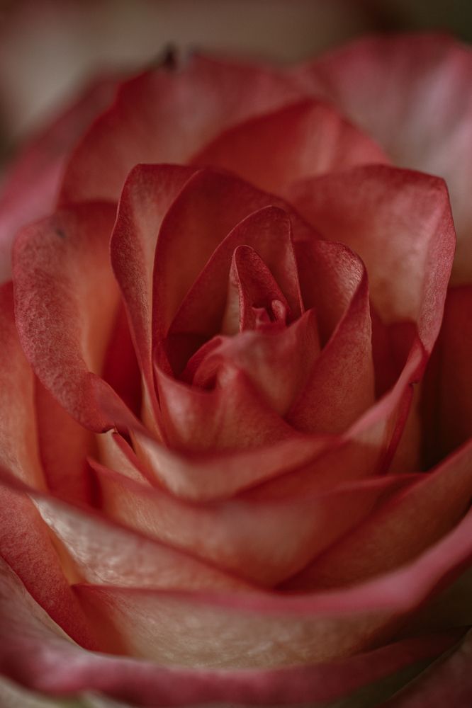 Photograph by Остапенко Алина