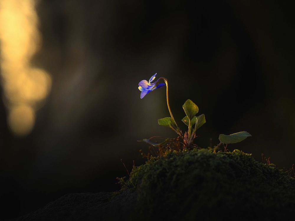 Photograph by Лукашук Евгений