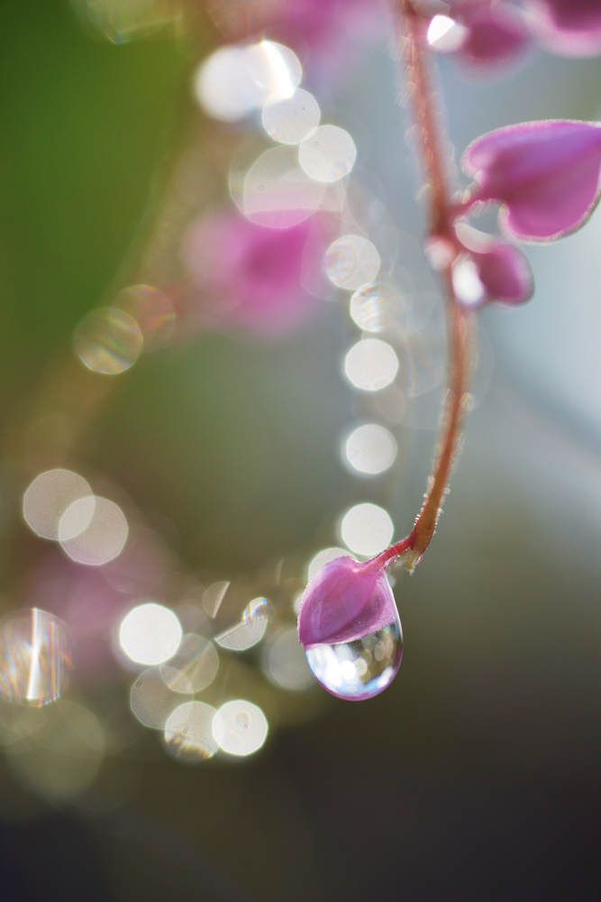 Photograph by Nam Tran Duy