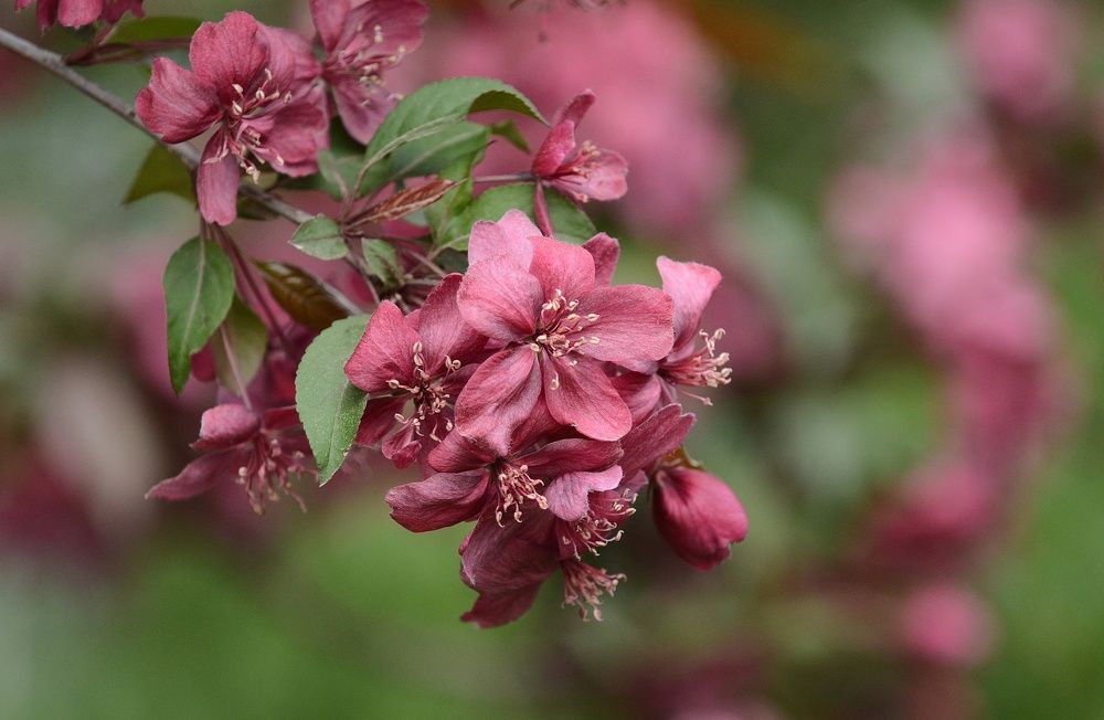 Photograph by Алексей Volg