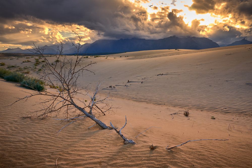 Photograph by Сергей Межин