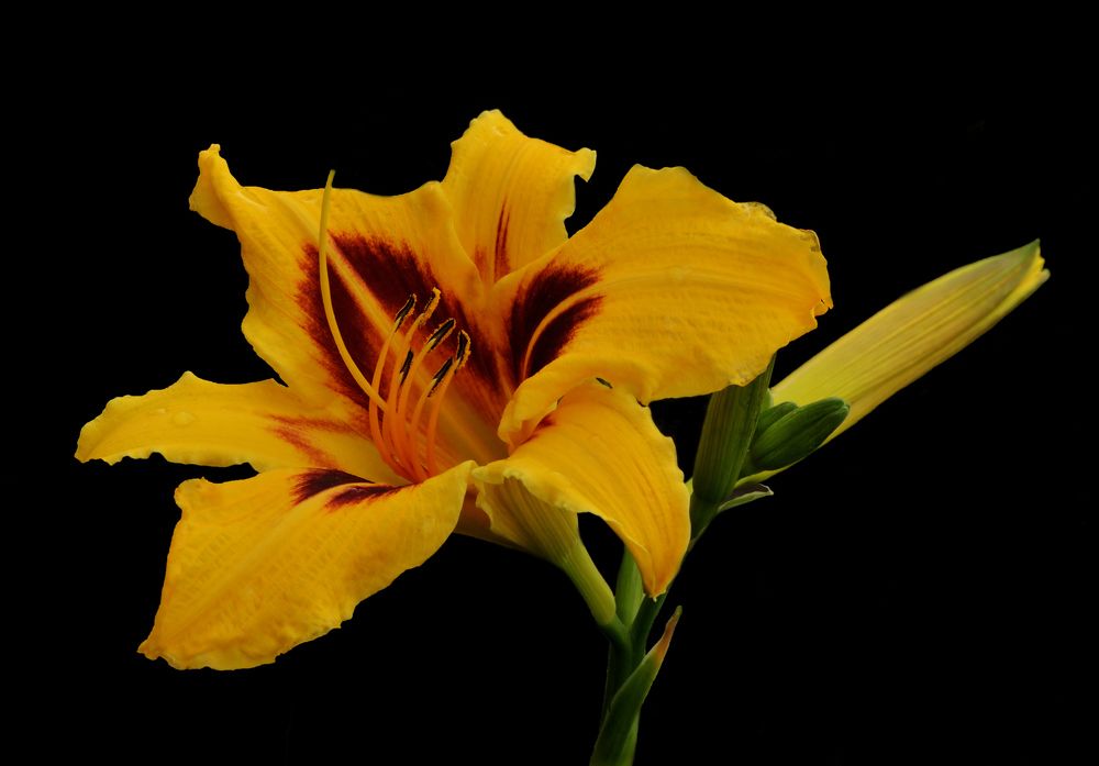 Photograph by Илфир Исламгазин