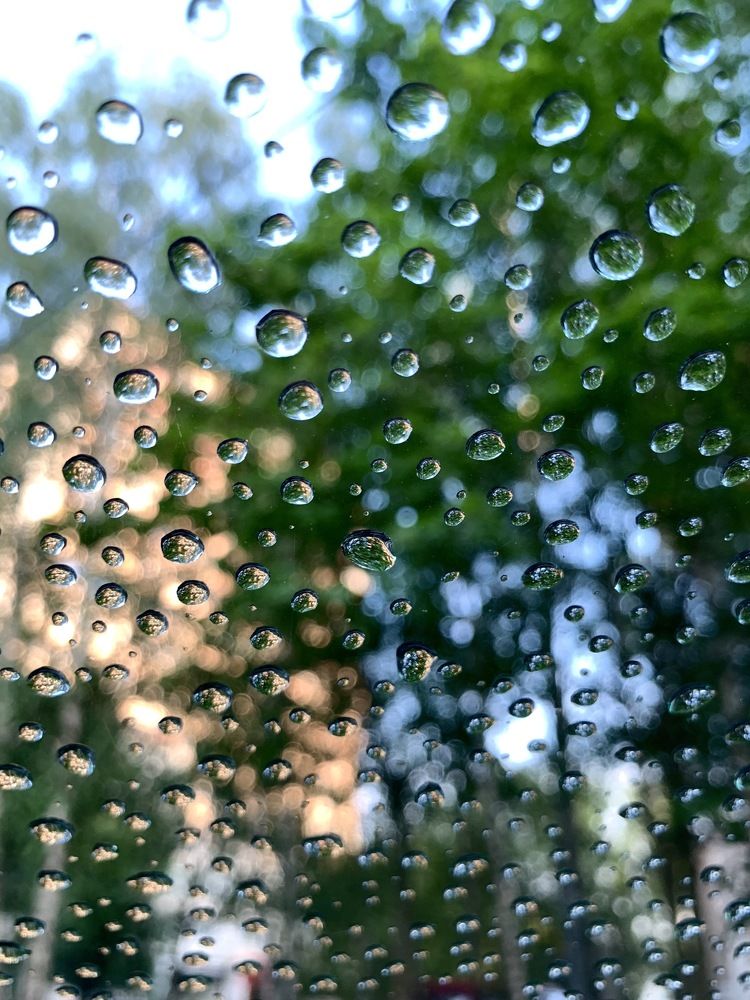 Фотография автора Olga Golubkova