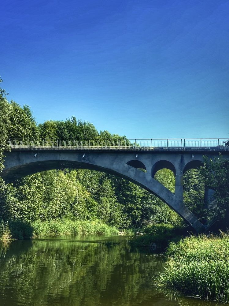 Фотография автора Елена Меньшикова