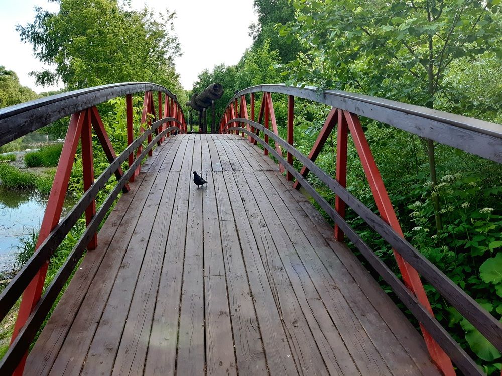 Photograph by Екатерина