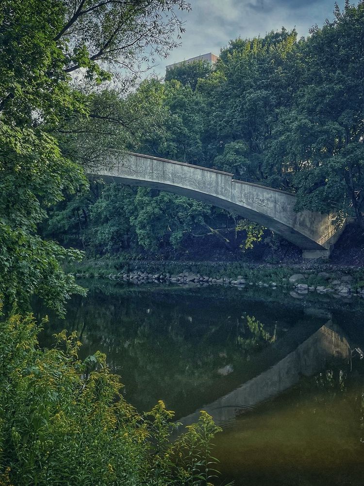 Фотография автора Елена Меньшикова