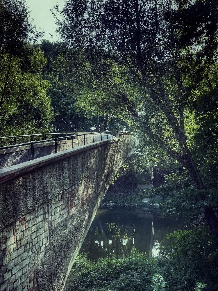 Фотография автора Елена Меньшикова