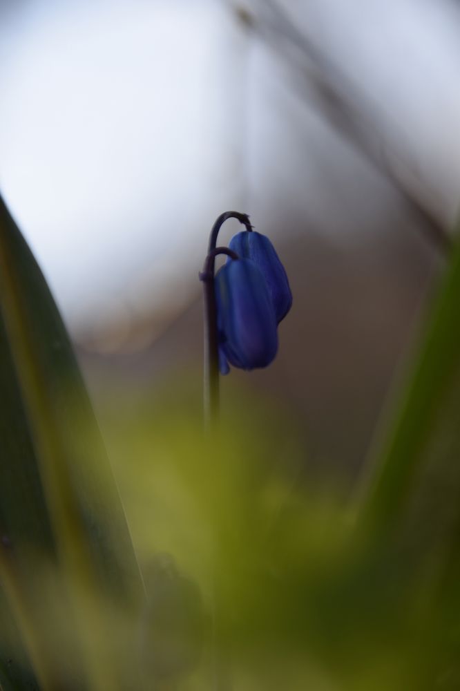 Photograph by Ольга Рыкова