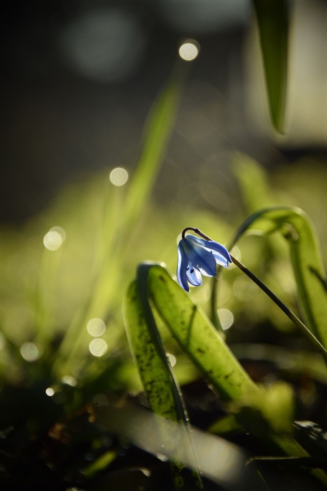 Photograph by Ольга Рыкова