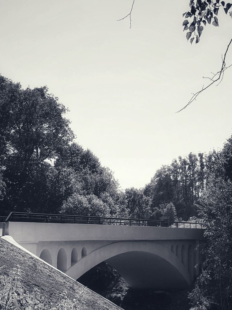 Фотография автора Елена Меньшикова