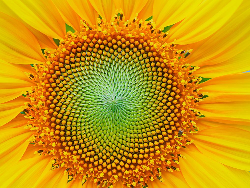 Photograph by Annie Trudel