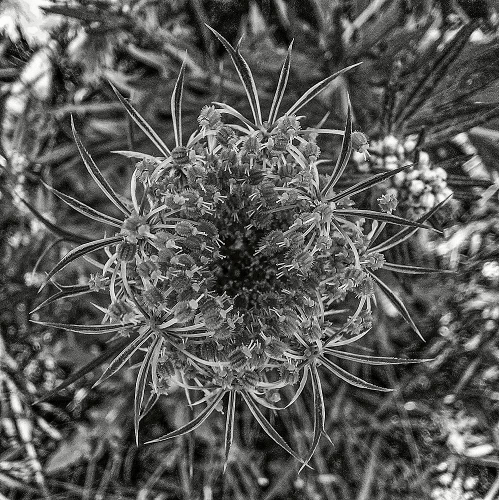 Photograph by Владимир Баулин