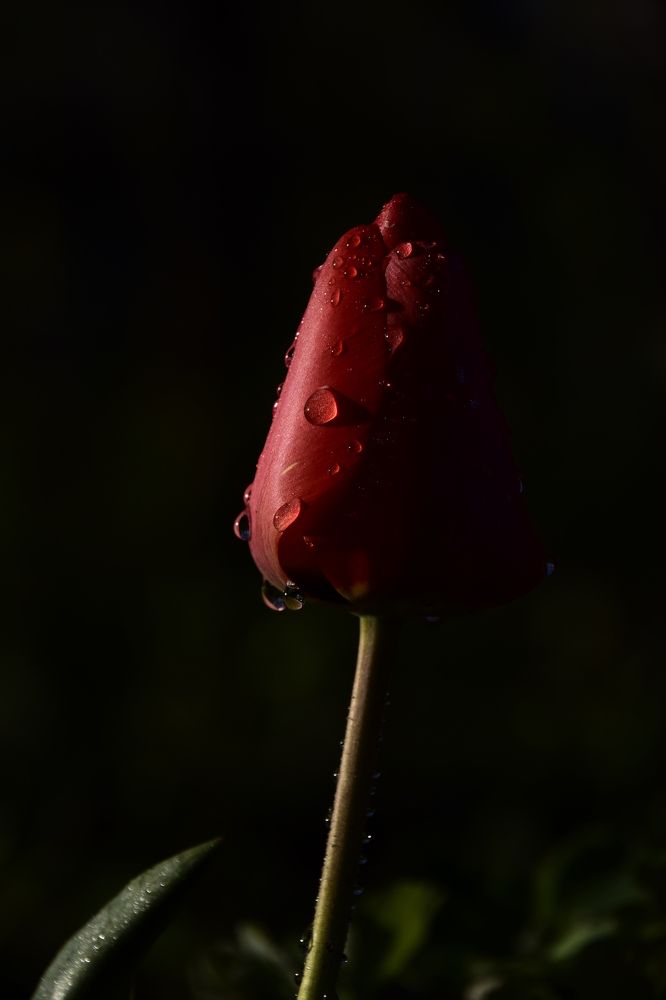 Photograph by Ольга Рыкова