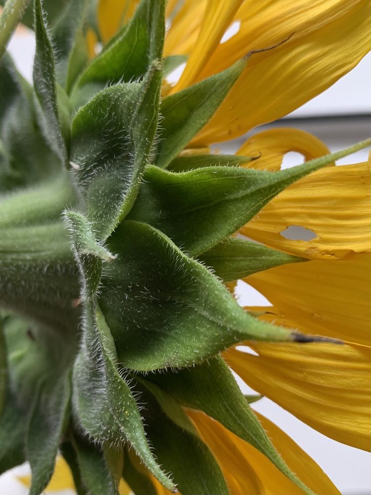 Photograph by Титаренко Людмила