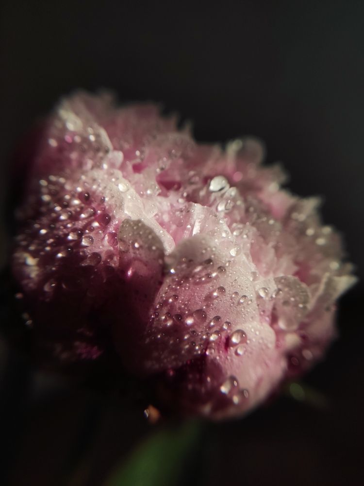 Photograph by Ольга Денисова