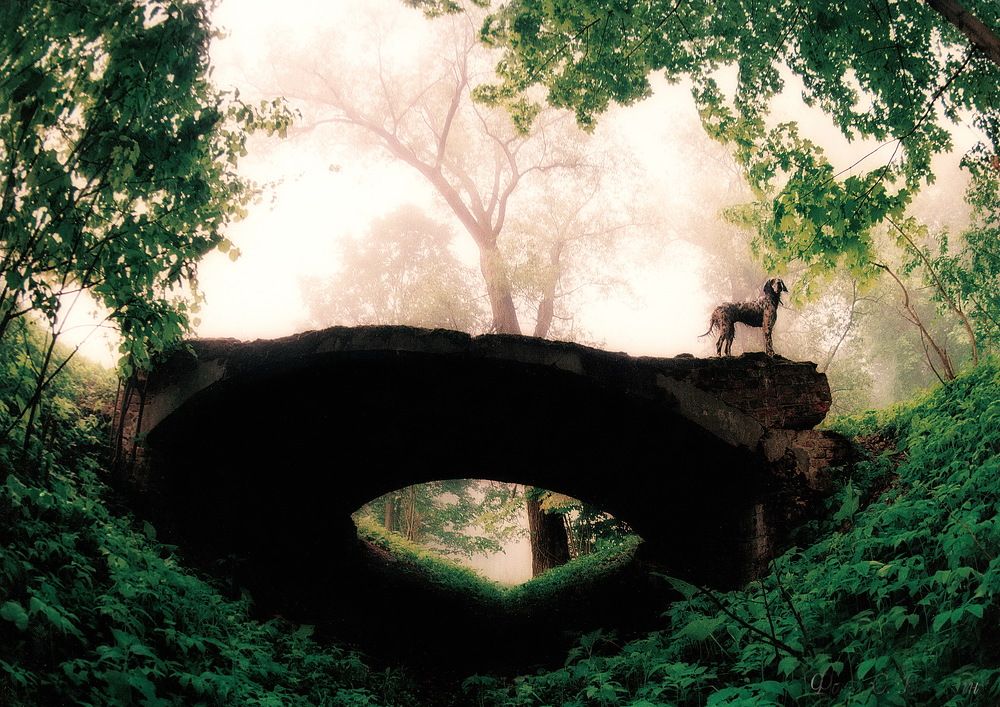 горбатый мост