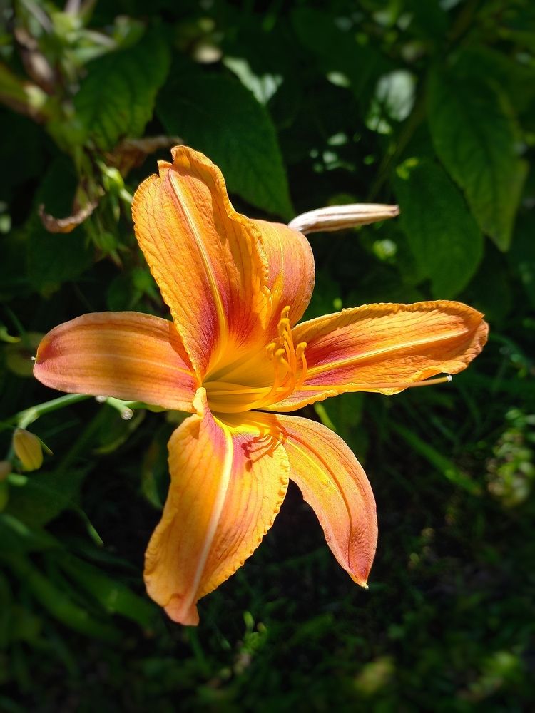 Photograph by Наталья