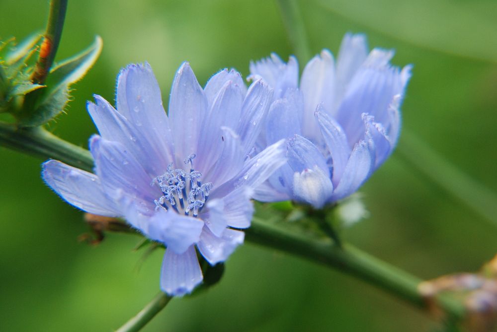 Photograph by Ася Батурина