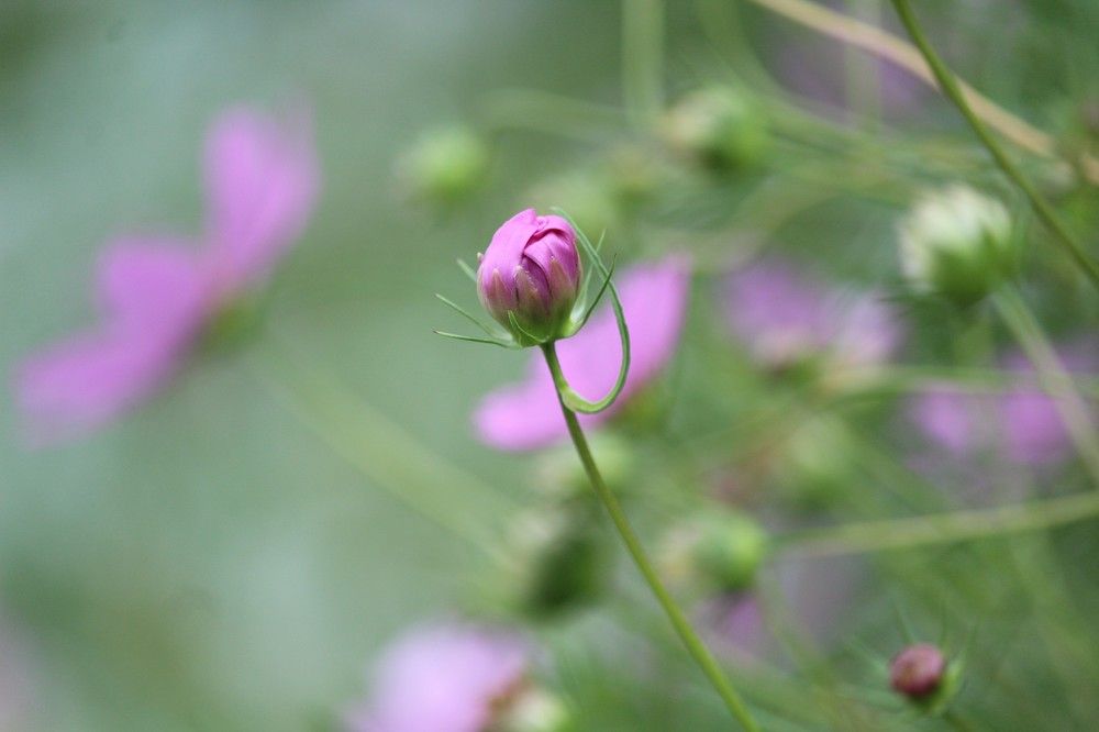 Photograph by Наталья Резванова