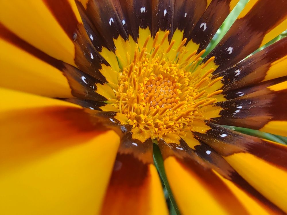 Photograph by Серёга Ануфриев