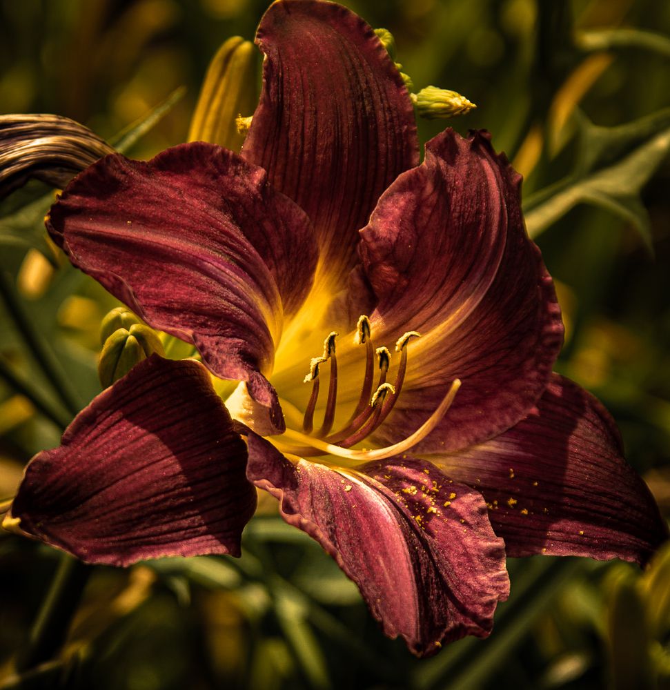 Photograph by Vitalii Kaznin