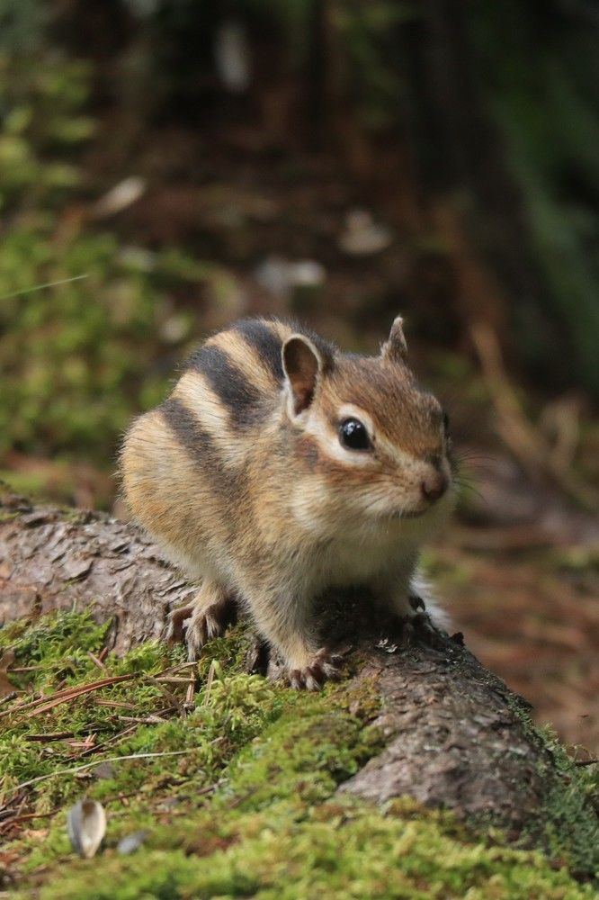 Photograph by Мария Глухова