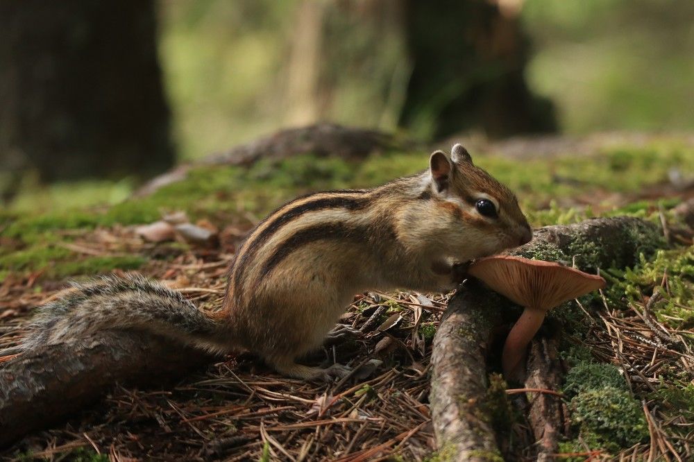 Photograph by Мария Глухова