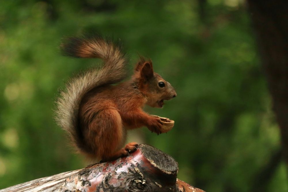 Photograph by Мария Глухова