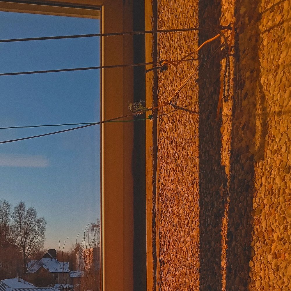 Photo #10895688