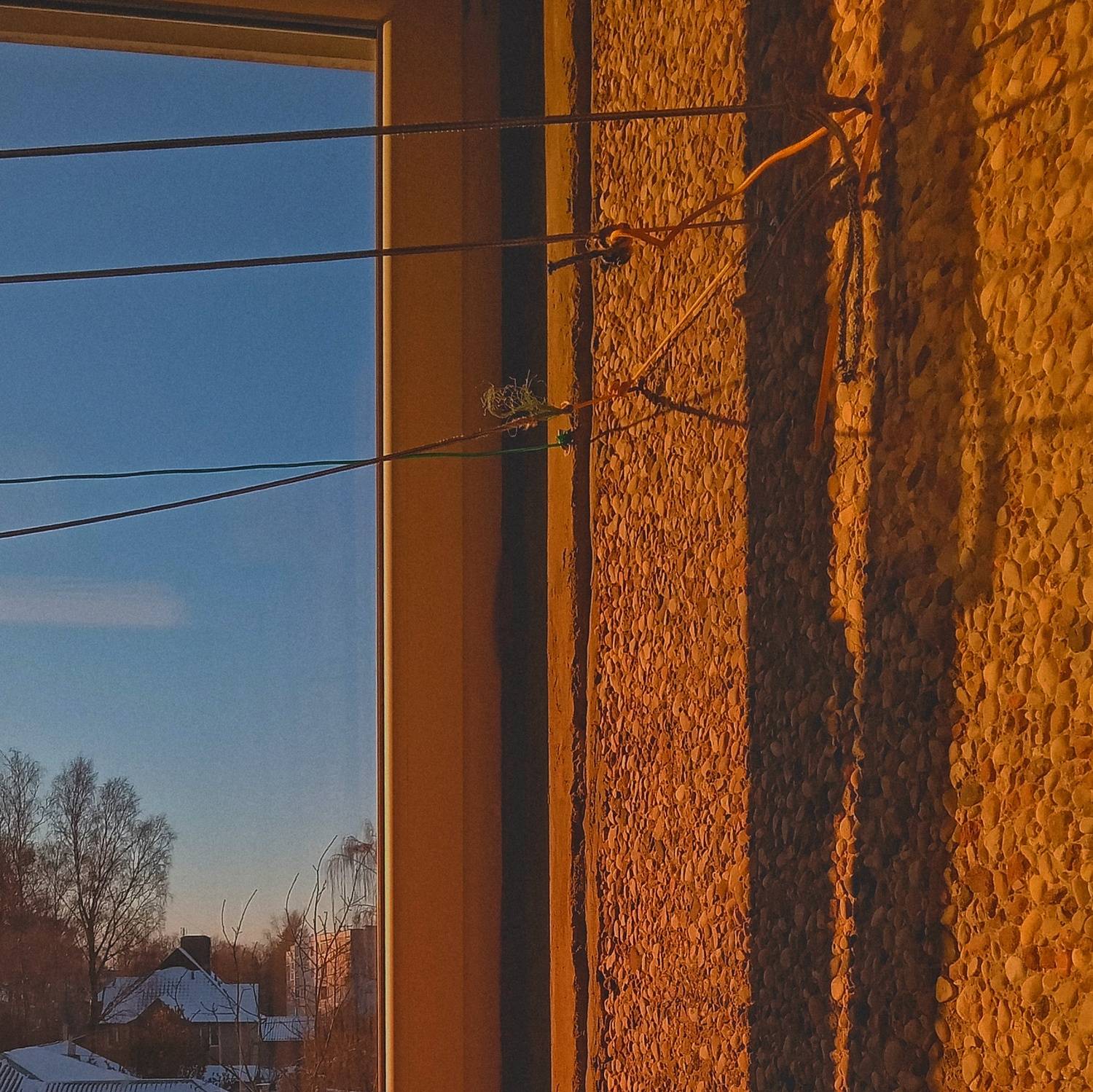 Photo #10895688
