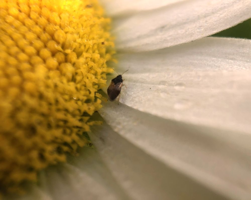 Фотография автора Aliaksandr Kazhdan