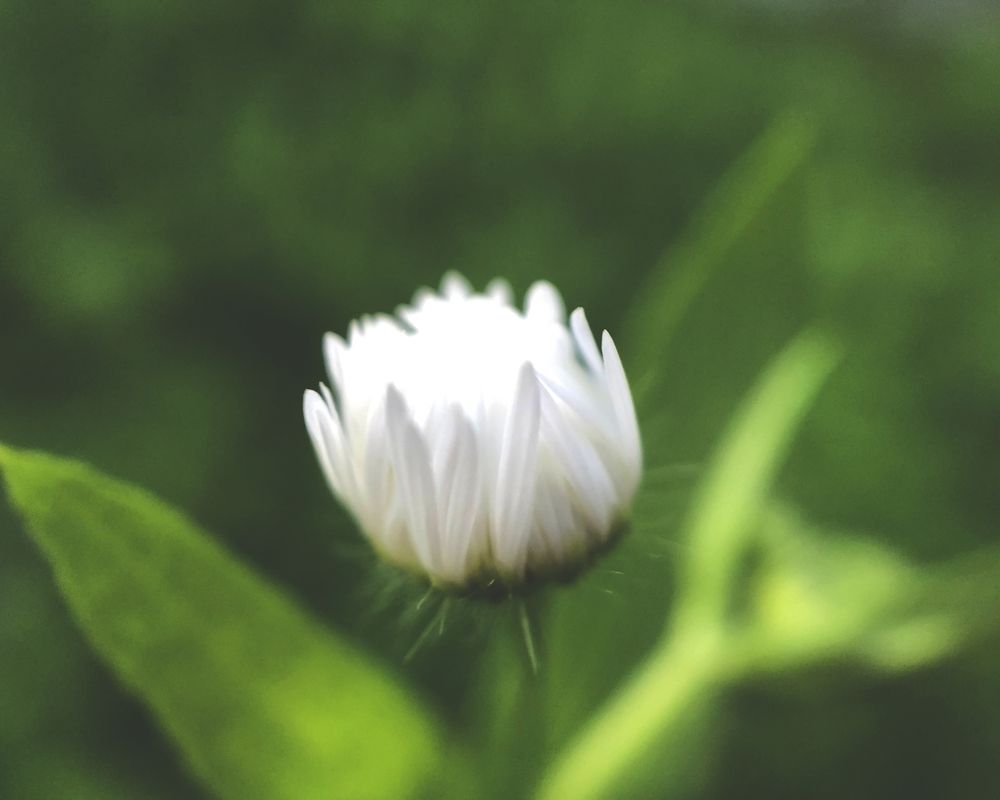 Фотография автора Aliaksandr Kazhdan