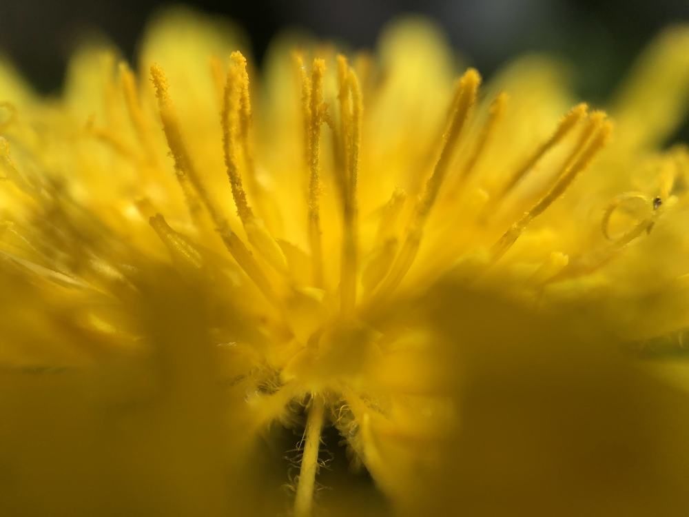 Фотография автора Aliaksandr Kazhdan